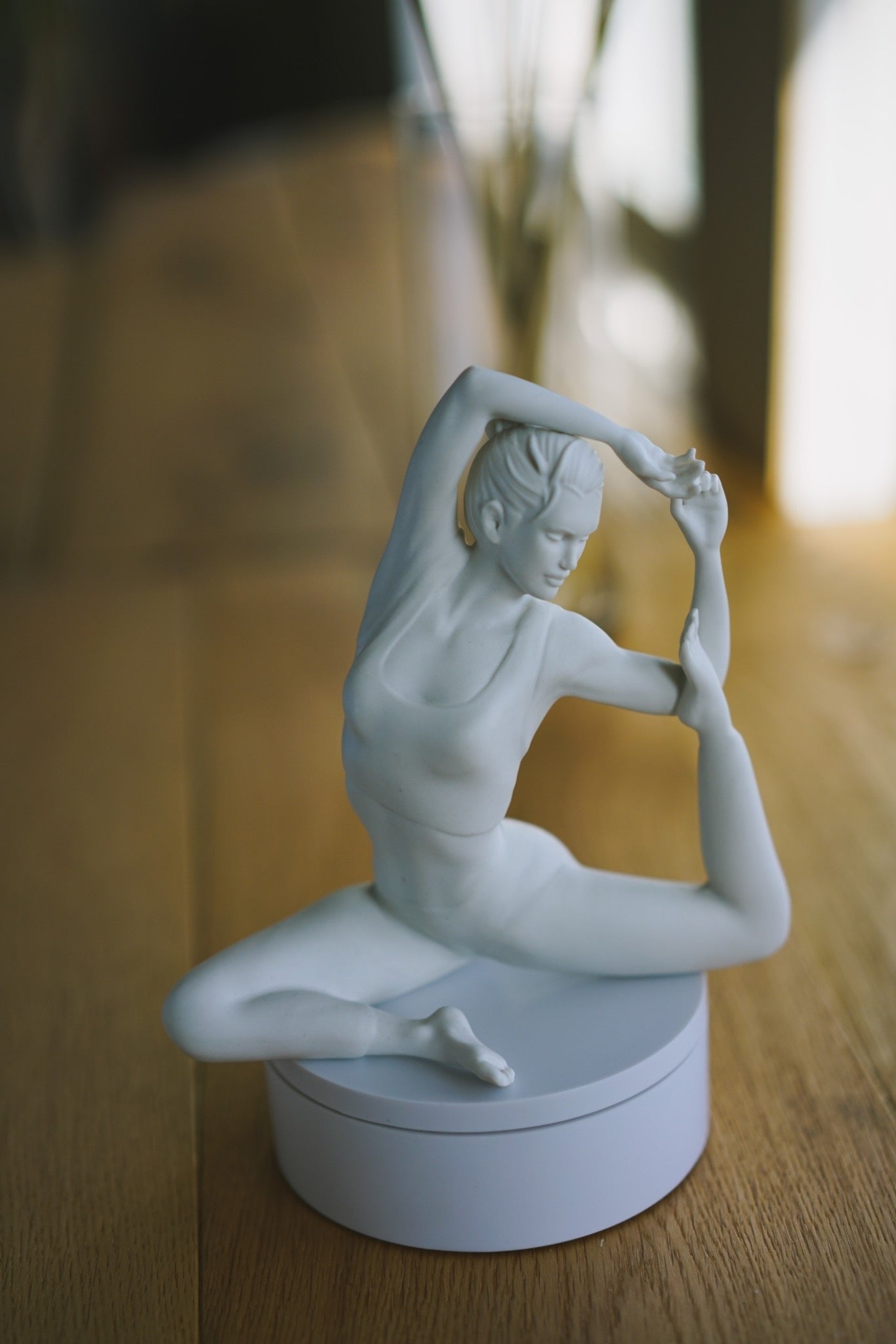 Yogifigur in der einbeinigen Königstaube – Eka Pada Rajakapotasana